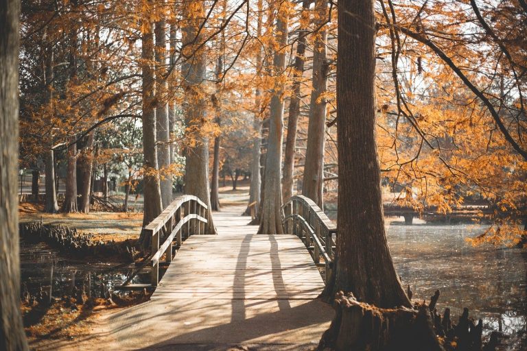 Les parcs européens les mieux notés