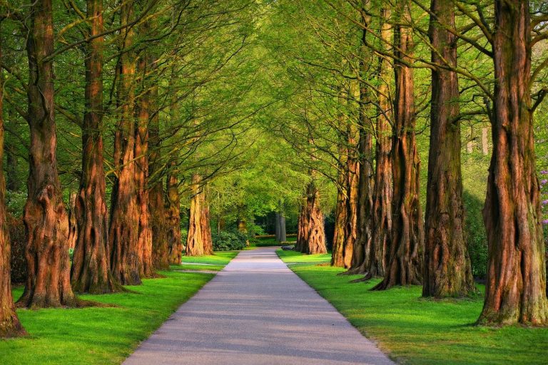 Les parcs d’art que vous voudriez visiter