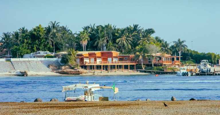 Echappée tropicale : comment vivre une aventure inoubliable sous les palmiers ?
