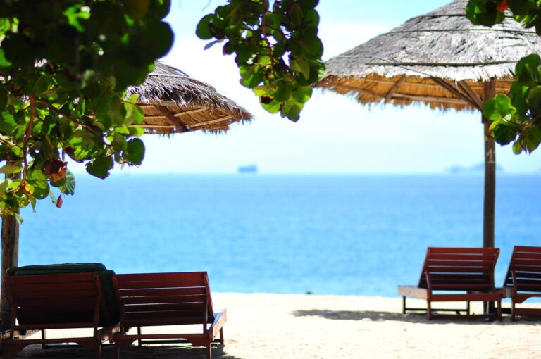 Comment profiter d&rsquo;une détente tropicale parfaite ?