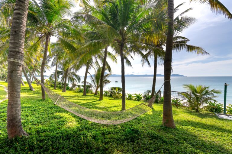 Comment s&rsquo;évader dans un paradis tropical ?
