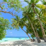 Quelles sont les meilleures destinations pour une exploration ensoleillée ?