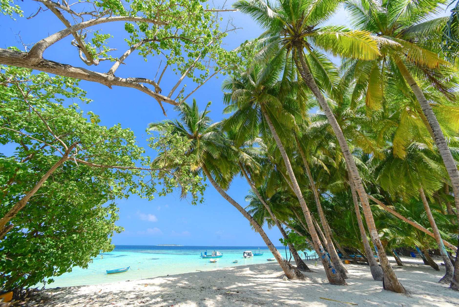 Quelles sont les meilleures destinations pour une exploration ensoleillée ?