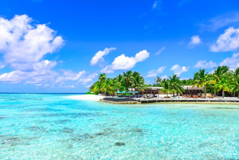 Quelles merveilles nous réserve la parenthèse tropicale ?