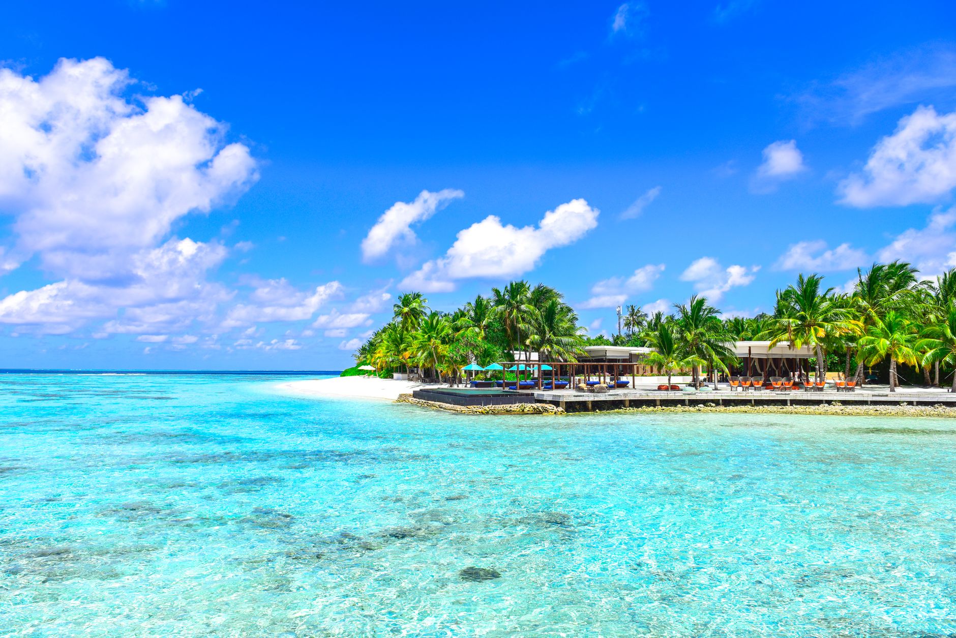 Quelles merveilles nous réserve la parenthèse tropicale ?