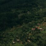 Qu&rsquo;est-ce que la récupération tropicale et comment en bénéficier ?
