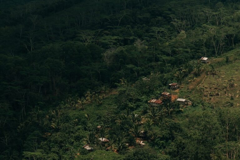Qu&rsquo;est-ce que la récupération tropicale et comment en bénéficier ?