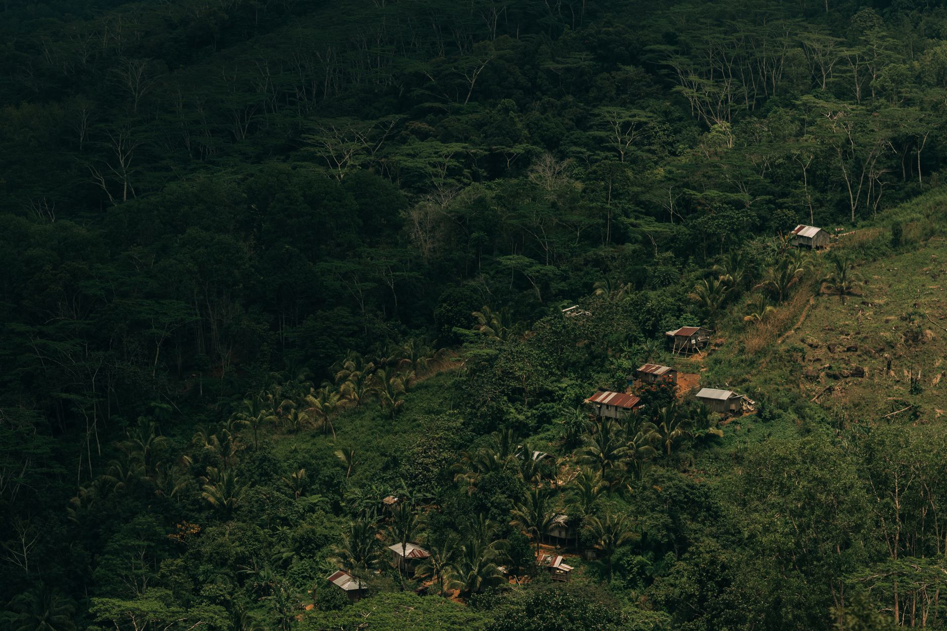 Qu&rsquo;est-ce que la récupération tropicale et comment en bénéficier ?