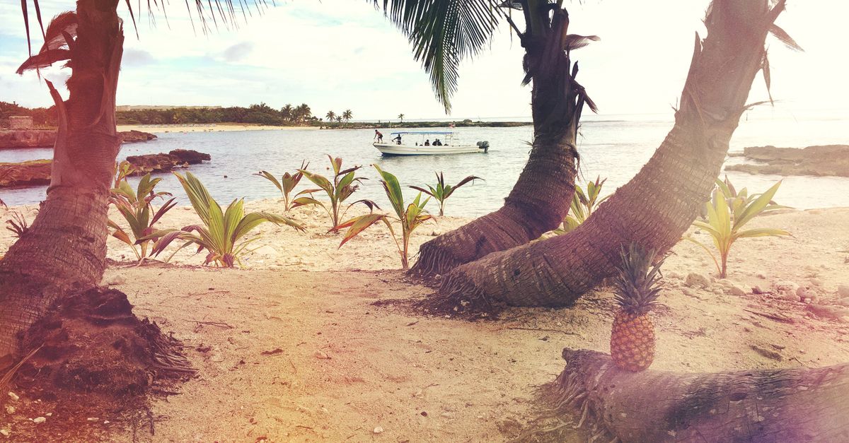 Pourquoi ne pas partir pour une escapade ensoleillée ? Pourquoi ne pas partir pour une escapade ensoleillée ?