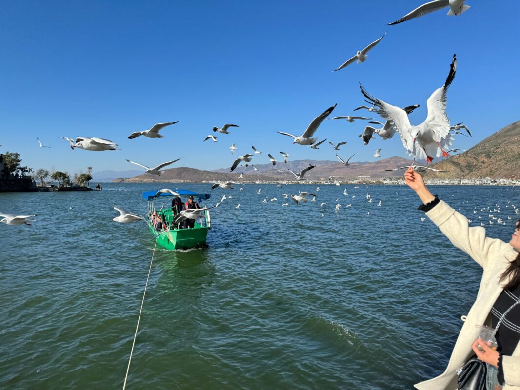 Au lac Erhai, choisir son rythme de découverte depuis Dali
