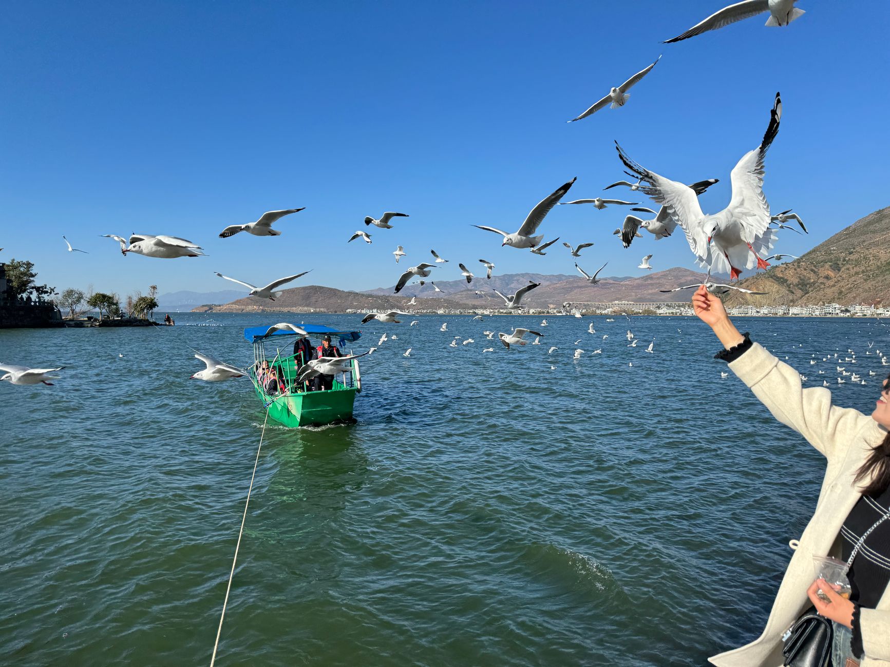 Au lac Erhai, choisir son rythme de découverte depuis Dali