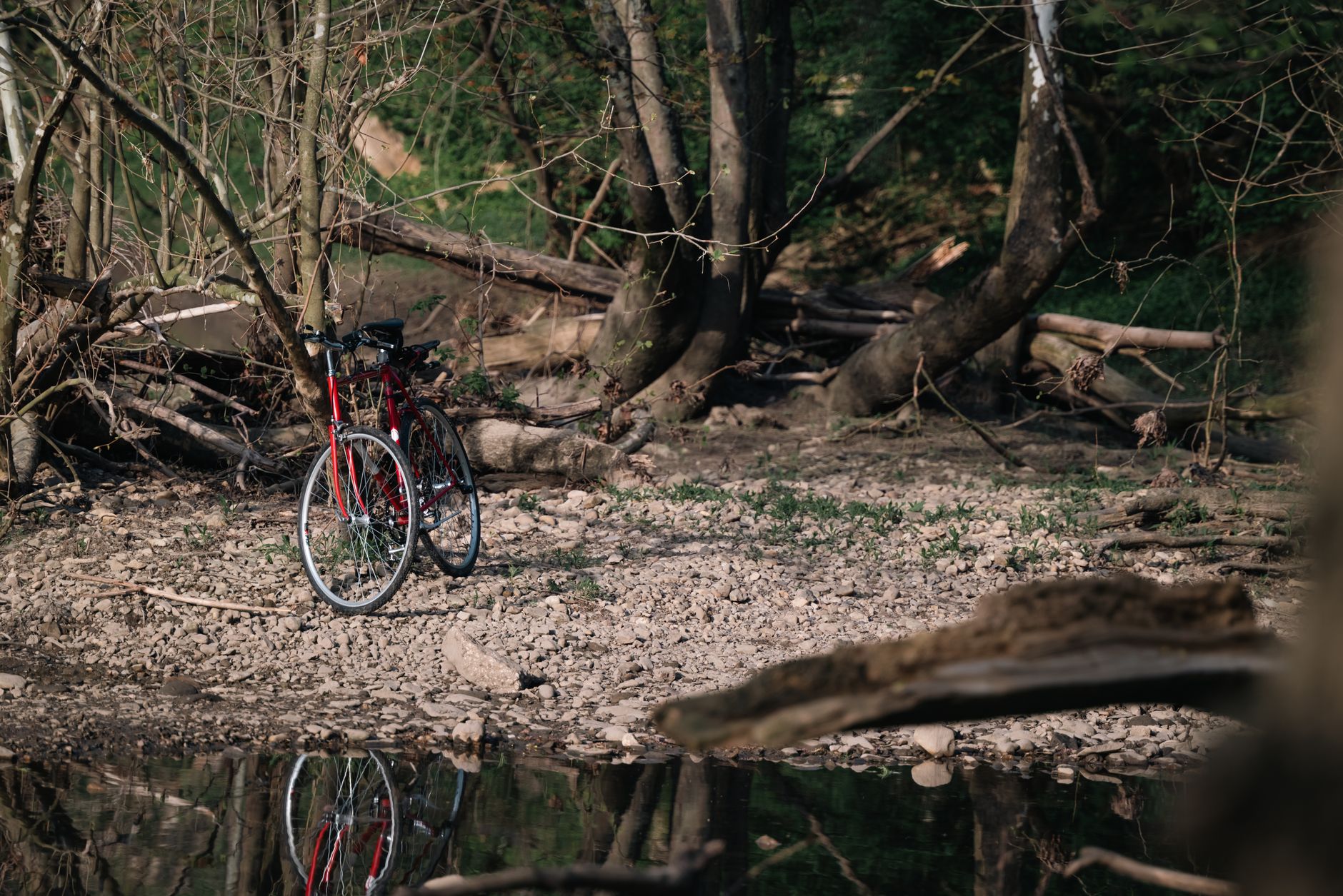 Un vélo rouge garé sur un sentier forestier rocheux parmi des arbres dénudés au printemps.