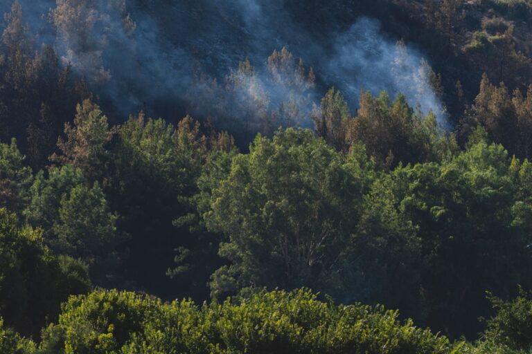 Incendies en Gironde : comment l’activité touristique a été perturbée en pleine saison