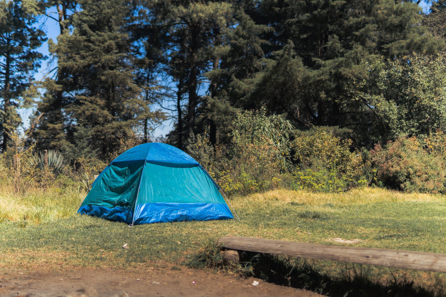 Une tente bleue vibrante installée dans un cadre forestier paisible, parfaite pour les aventures de camping en plein air.